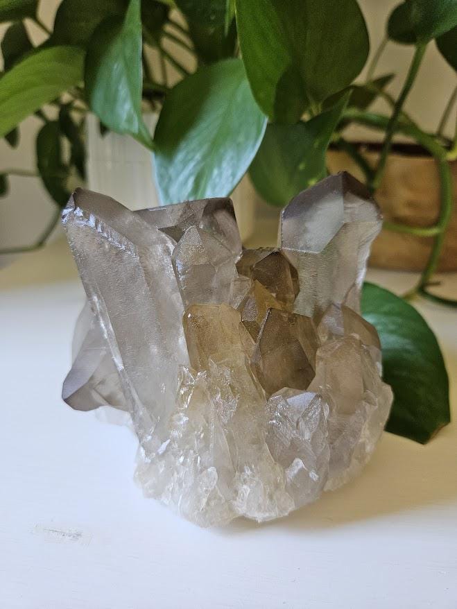 Large Smoky Quartz Cluster: Natural Brazilian Crystals - Bahia - Image 4