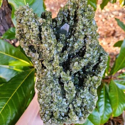 XL Forest Quartz Cluster: Natural Turkish Epidote and Quartz Crystal