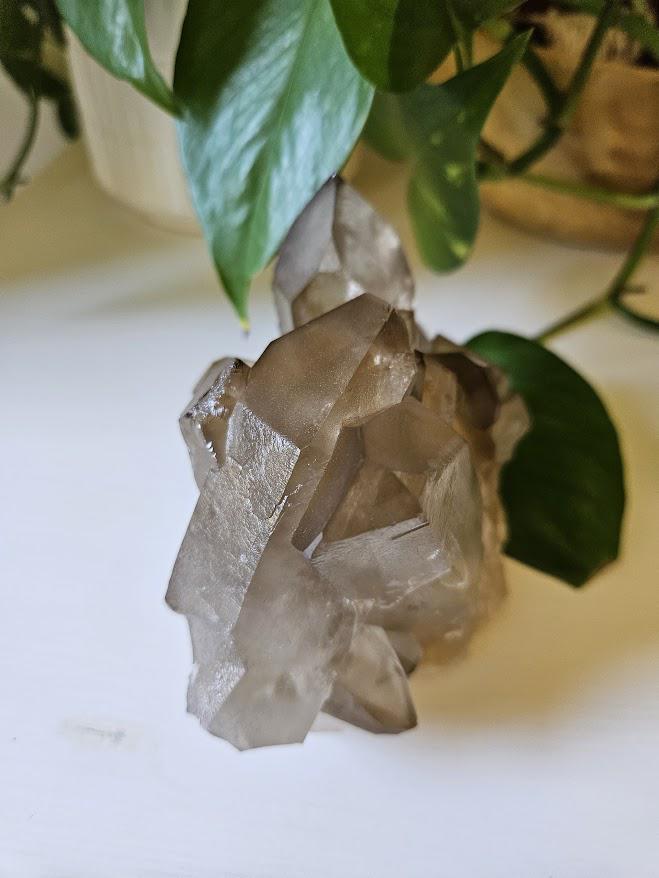 Large Smoky Quartz Cluster: Natural Brazilian Crystals - Bahia - Image 6