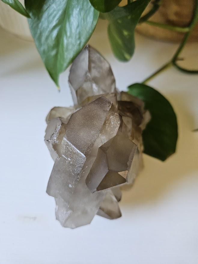 Large Smoky Quartz Cluster: Natural Brazilian Crystals - Bahia - Image 2