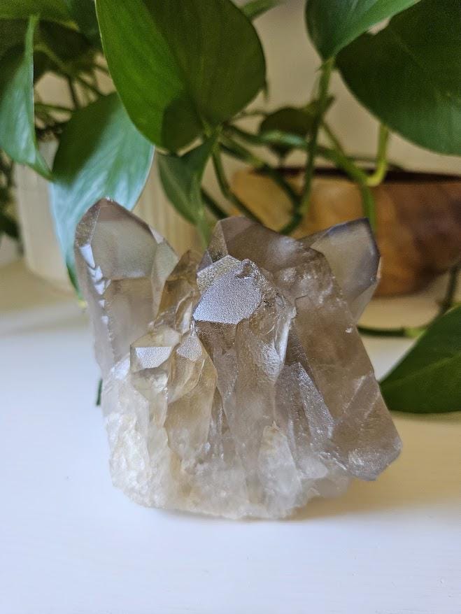 Large Smoky Quartz Cluster: Natural Brazilian Crystals - Bahia - Image 8
