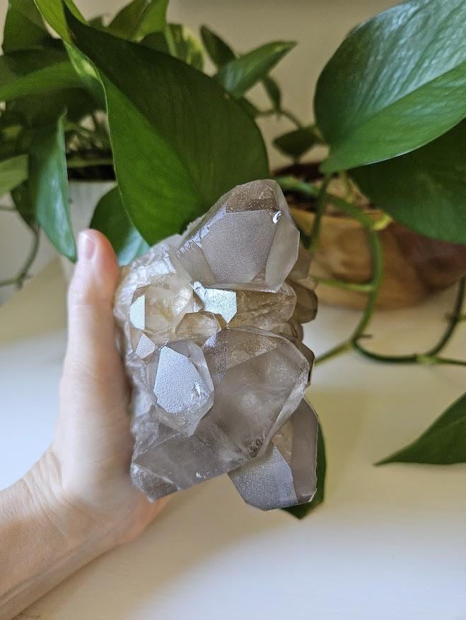 Large Smoky Quartz Cluster: Natural Brazilian Crystals - Bahia